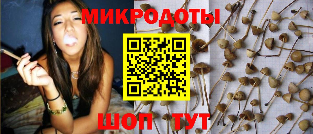 Псилоцибиновые грибы MAGIC MUSHROOMS Родники